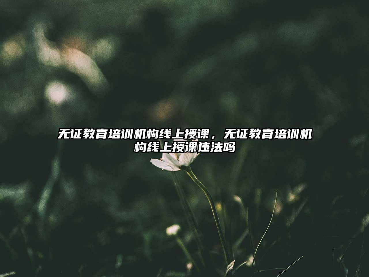 無證教育培訓機構線上授課，無證教育培訓機構線上授課違法嗎